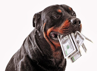 dog with money in mouth