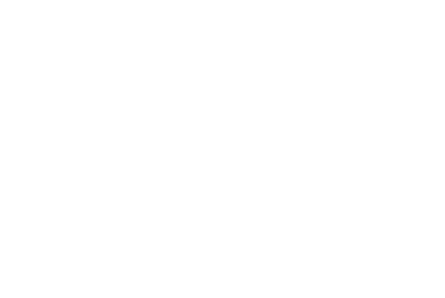 vets payment plans near me