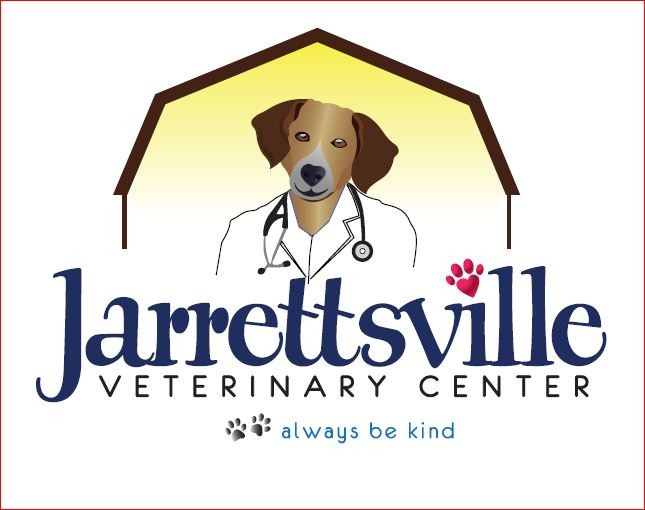 veterinary clinic logo with dog dressed as doctor wearing stethoscope and labcoat