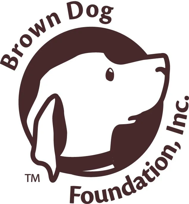 BDF Logo