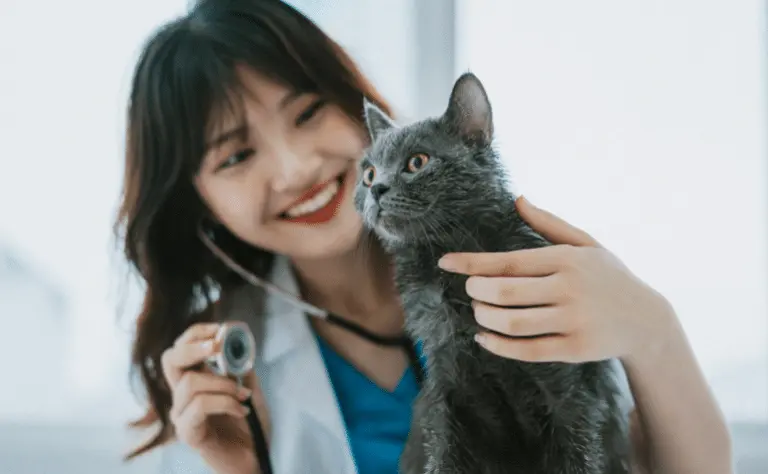 Veterinarian with cat
