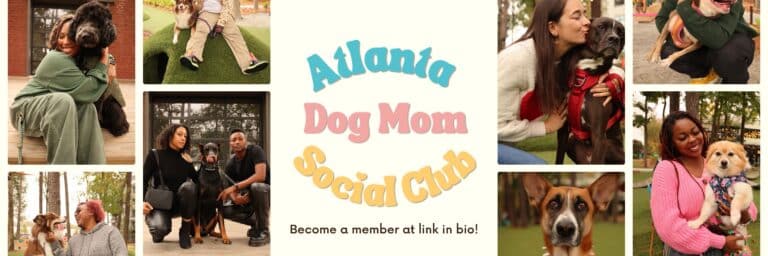 Atlanta Dog Mom Social Club community members with their dogs at various events