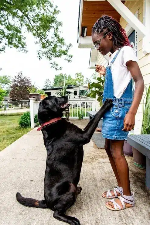 Dog-with-paws-up-on-girl