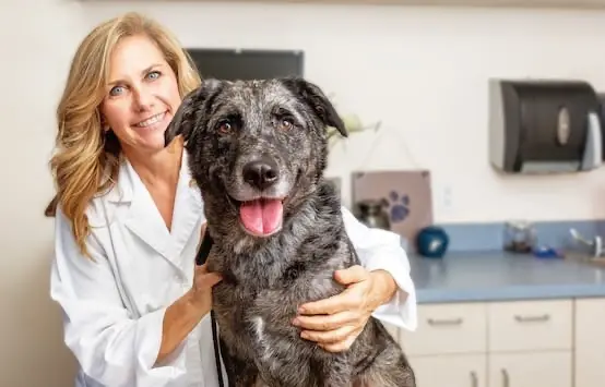 Female_Veterinarian_With_Dog_in_Office